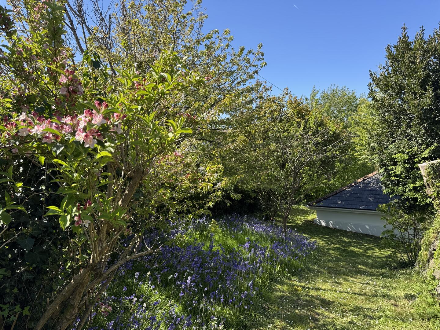 Blowinghouse Hill, Redruth